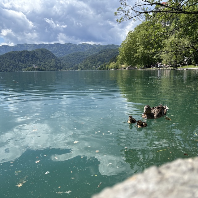 Lake Bled