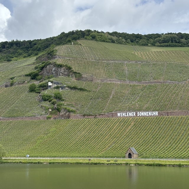 Moselle vally